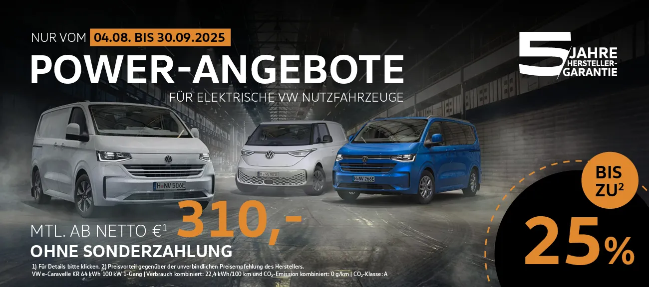 VW e-NFZ