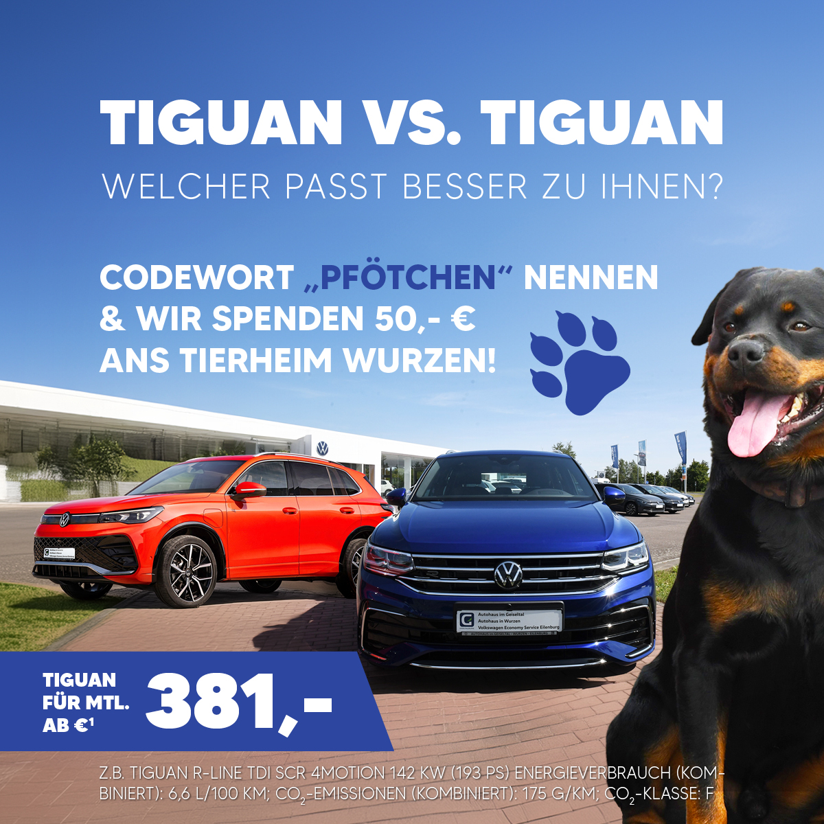 Autohaus Geiseltalgruppe Wurzen Tiguan Aktion SALE Leasing Wuff Pfötchen Rottweiler Hermann