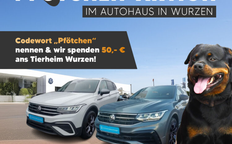  Pfötchen Aktion