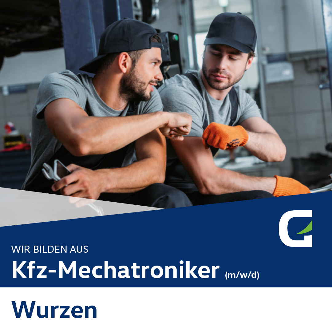 6-Mechatroniker-Wurzen